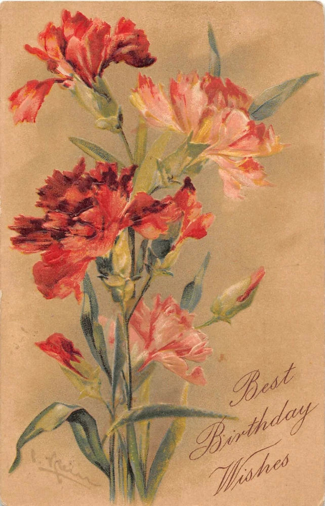Birthday postcard with red and pink carnation bouquet and cursive "Best Wishes".