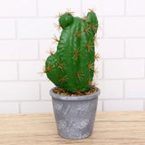 Fake Succulent in Pot Room Decor Cactus Faux Artificial Potted Plants Green Plant