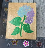 Rubber Stampede Hydrangea Flower 1995 Rubber Stamp Wood #A18 Hydrangea