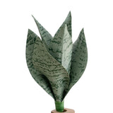 Low Maintenance Soft PVC Artificial Snake Plant Greenery for Indoor Spaces Green Plant