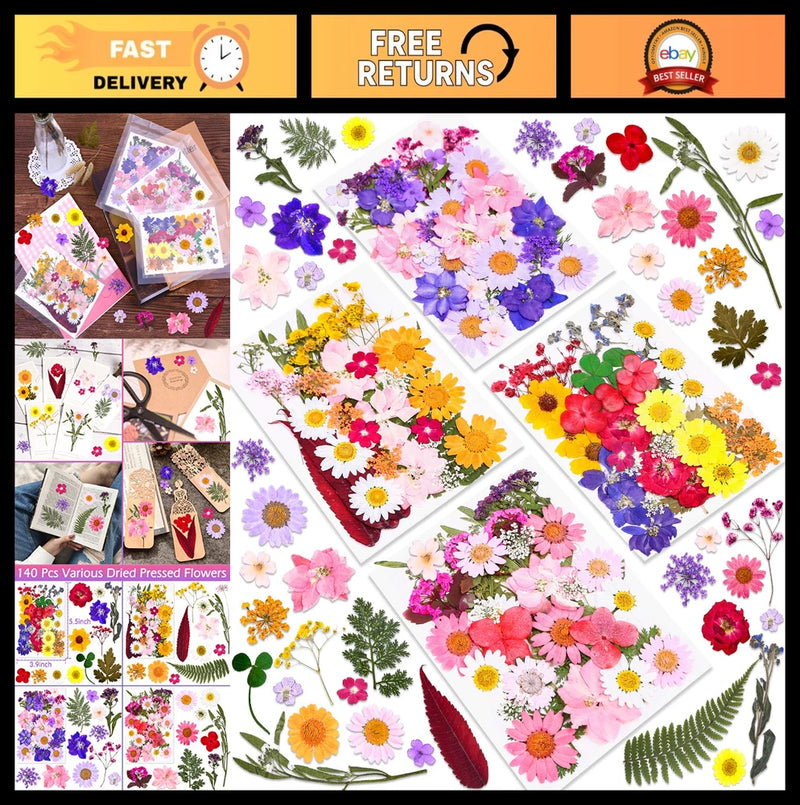 Assorted dried pressed flowers and leaves, multi-color botanical set for resin and crafts