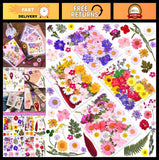 140 Pcs Dried Pressed Flowers & Leaves for Resin Art, Scrapbooking, DIY Crafts Dried Flower