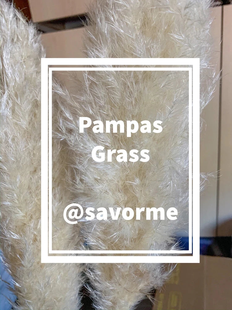 12 Large Pampas Grass (36Ó) Wedding Decor CA, USA BEAUTIFUL! Pampas Grass