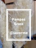 12 Large Pampas Grass (36Ó) Wedding Decor CA, USA BEAUTIFUL! Pampas Grass