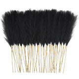 50 PCS 21.6 Inch Faux Black Pampas Grass Artificial Fake Floral Branches Vase Pampas Grass
