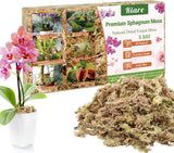 Riare 3.5 OZ Premium Sphagnum Moss for Plants- 4QT Natural Long 4QT/3.5oz Orchids
