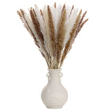 60 Piece Pampas Grass Bundle. 30 White Stems 30 beige/natural stems. 22" Stems. Pampas Grass