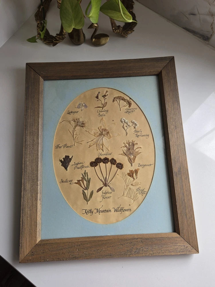Wood framed oval pressed flower botanical print, vintage dried wildflowers