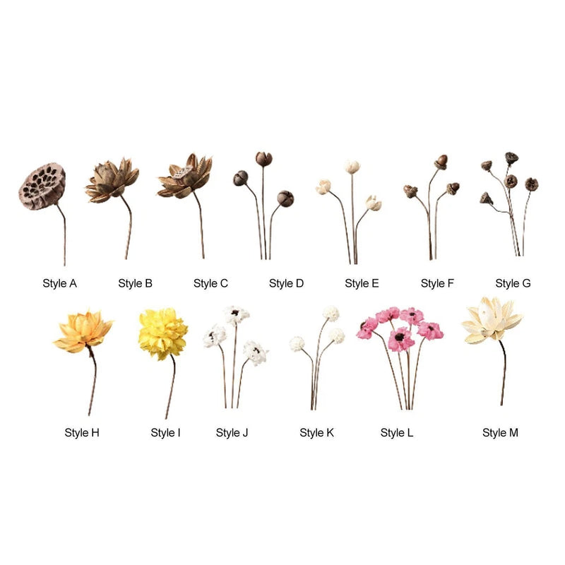 Dried Flower for Vase Table Centerpiece Floral Arrangement Photography Prop Dried Flower