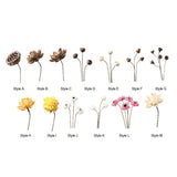 Dried Flower for Vase Table Centerpiece Floral Arrangement Photography Prop Dried Flower