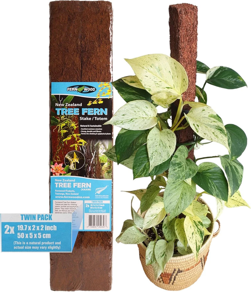 Tree Fern Totem Board- for Orchids, Aroids, and Other Climbing Plants | Soft, Du Orchids