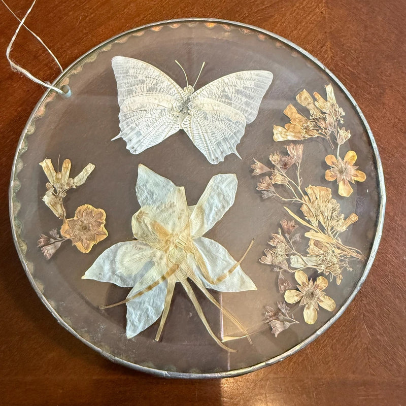 Domed glass butterfly dried-flower frame wall decor