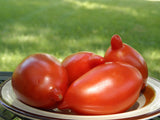 Legenda Tarasenko tomato - Unusual heirloom tomato with torpedo-shaped fruit Garden Plants