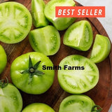 50+ Seeds Fried Green Tomato Easy to Grow Vegetable Garden Planting Garden Plants