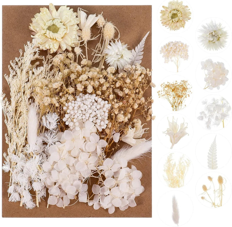 Assorted natural dried flowers, off-white and beige, for DIY resin candles