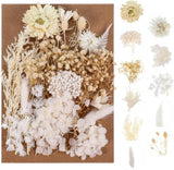 Ahlsenl Natural Decorative Dried Mixed Flowers for DIY Candle Resin Dried Flower