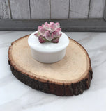 *Rare* Vintage Aynsley Trinket Box with Pink Carnation Flower Carnation