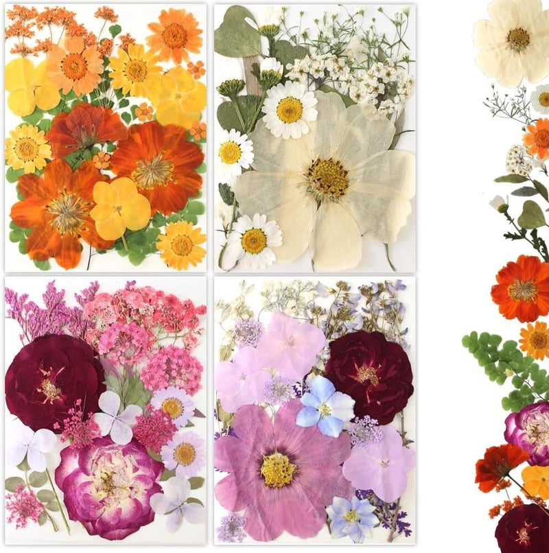 Buzidao 80Pcs Pressed Flowers Dried Flowers Natural Pressed Flowers Bulk Mold Dried Flower