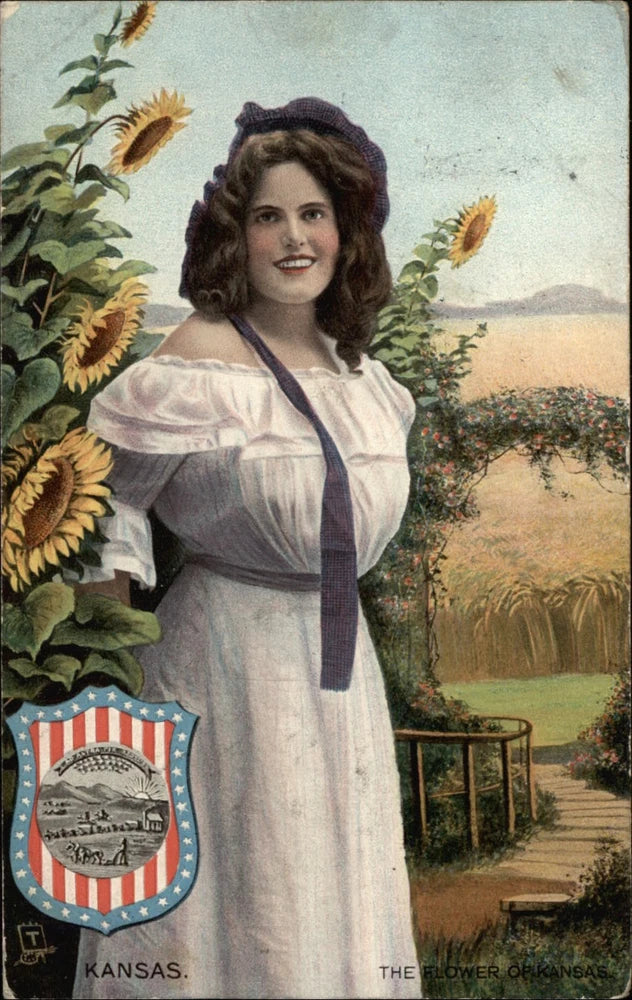Flower of Kansas woman Tuck State Belles series sunflower vintage postcard Sunflower