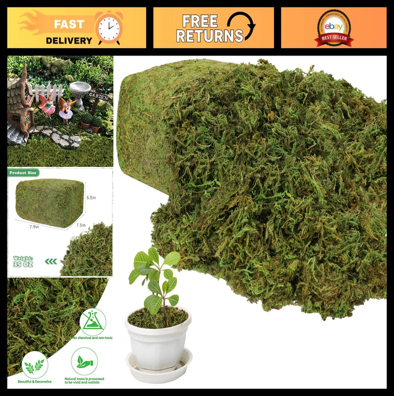 Large Capacity 35 OZ Artificial Moss for Potted Plants, Indoor Craft Greenery, H Green Plant