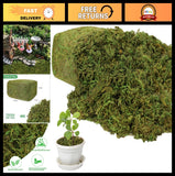 Large Capacity 35 OZ Artificial Moss for Potted Plants, Indoor Craft Greenery, H Green Plant