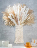 Natural Dried Pampas Grass Bouquet & Wall Hanging Pampas Grass