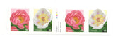Canada - 2025 - Peonies - Coil Strip of 4 - Mint Never Hinged Peony