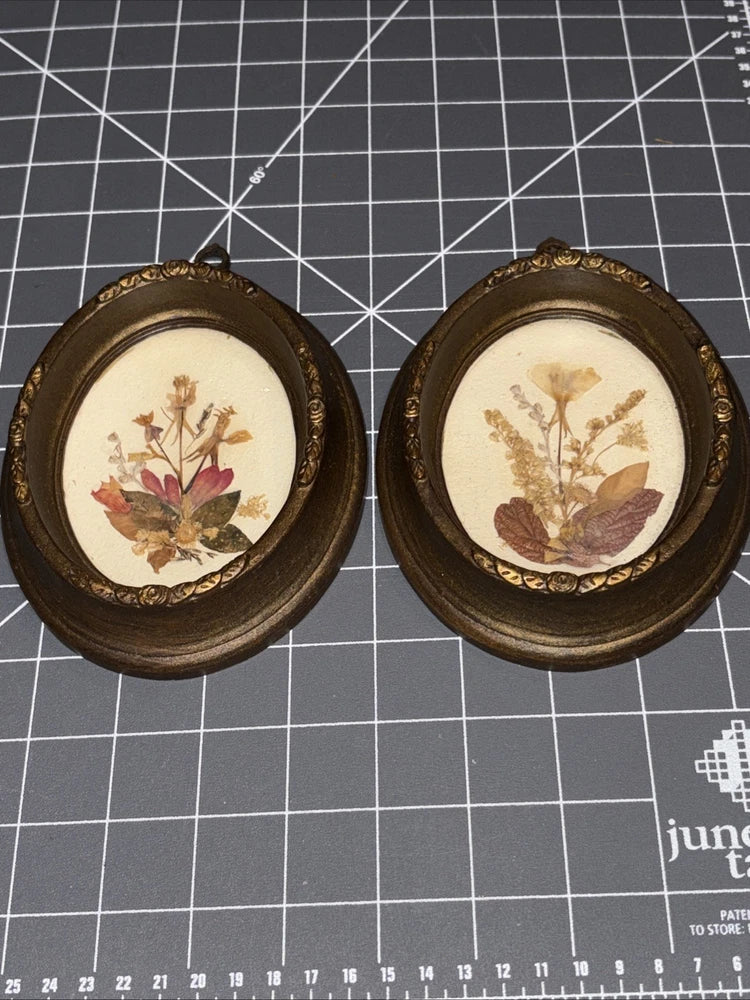 Vintage dried flower pressed art, pair of gold oval frames with botanical specimens