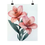 Boho Pink Peruvian Lilies Flower Art Print Poster, Minimalist Floral Wall Art 6 Lily