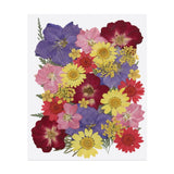 30 Pcs Dried Pressed Flower Leaves Bulk for Resin, Multicolor Dried Flower
