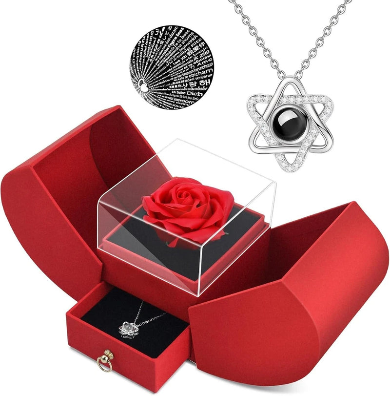 Red real rose in clear cube gift box with silver heart-shaped pendant necklace