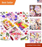 Dried Pressed Flowers for Resin Crafts DIY Jewelry Scrapbooking Art Decor Dried Flower