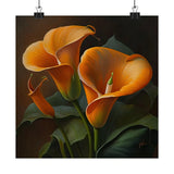Orange Calla Lilies Flower Art Print, Flower Painting, Flower DŽcor 06 Lily