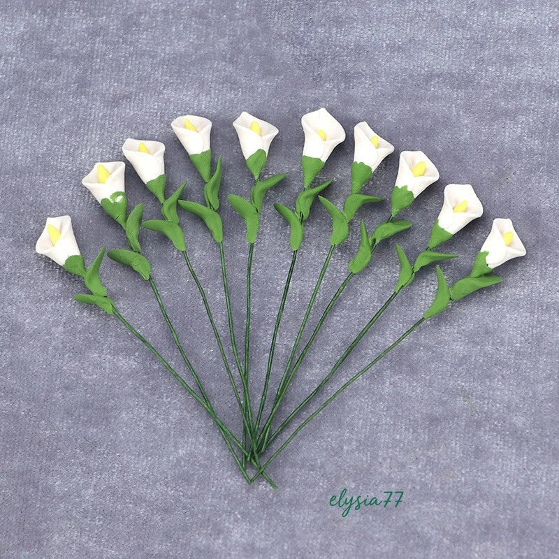 Miniature calla lily flower stems, white blooms and green leaves