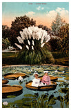 Los Angeles, CA 2/12/10 Lotus Pond Children On Amazon WaterLily Pampas Grass-A92 Pampas Grass