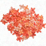 Orange Pressed Flowers Ð Organic Resin Art & Craft MaterialsÐ 50/100/200 Flowers Dried Flower