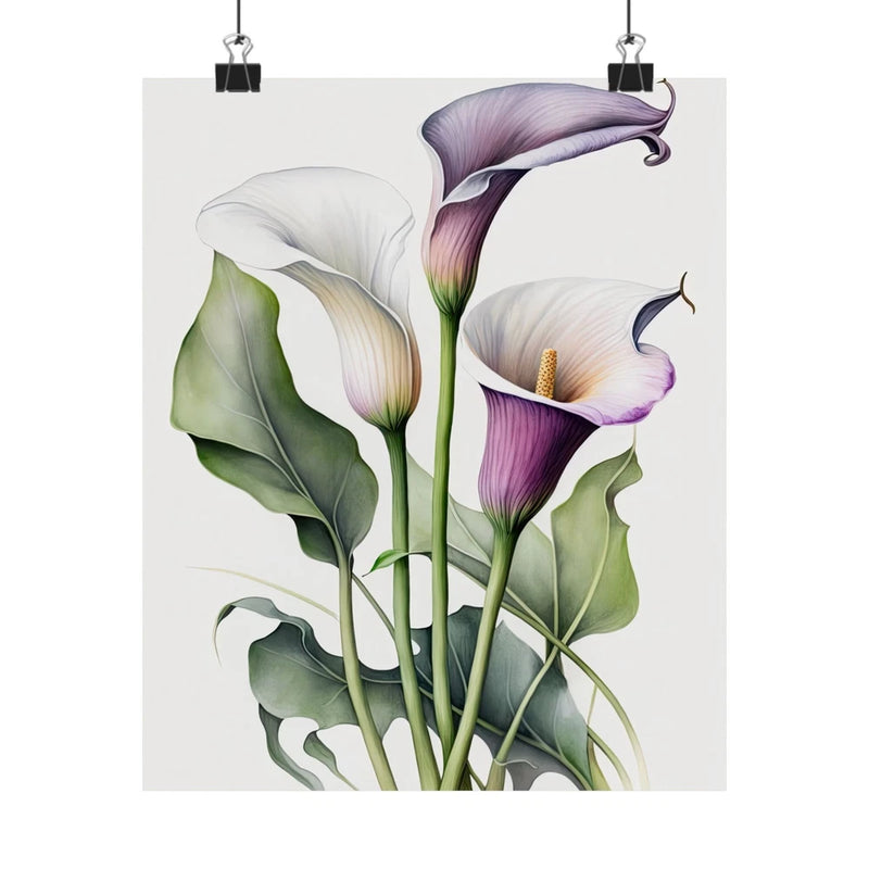 Lavender calla lily flowers art print poster with white and purple blooms