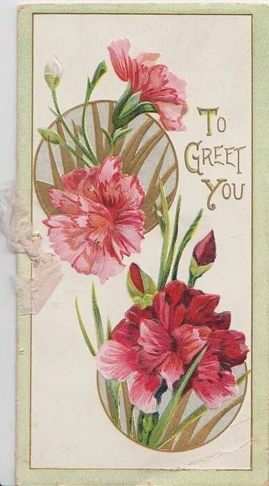 Tuck Christmas New Year card, flowers red carnations, circa 1910 Carnation