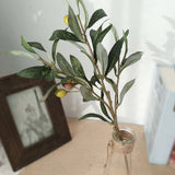 3 Pcs Artificial Olive Branches Stems Faux Greenery Plant Accessory for Wedding Green Plant