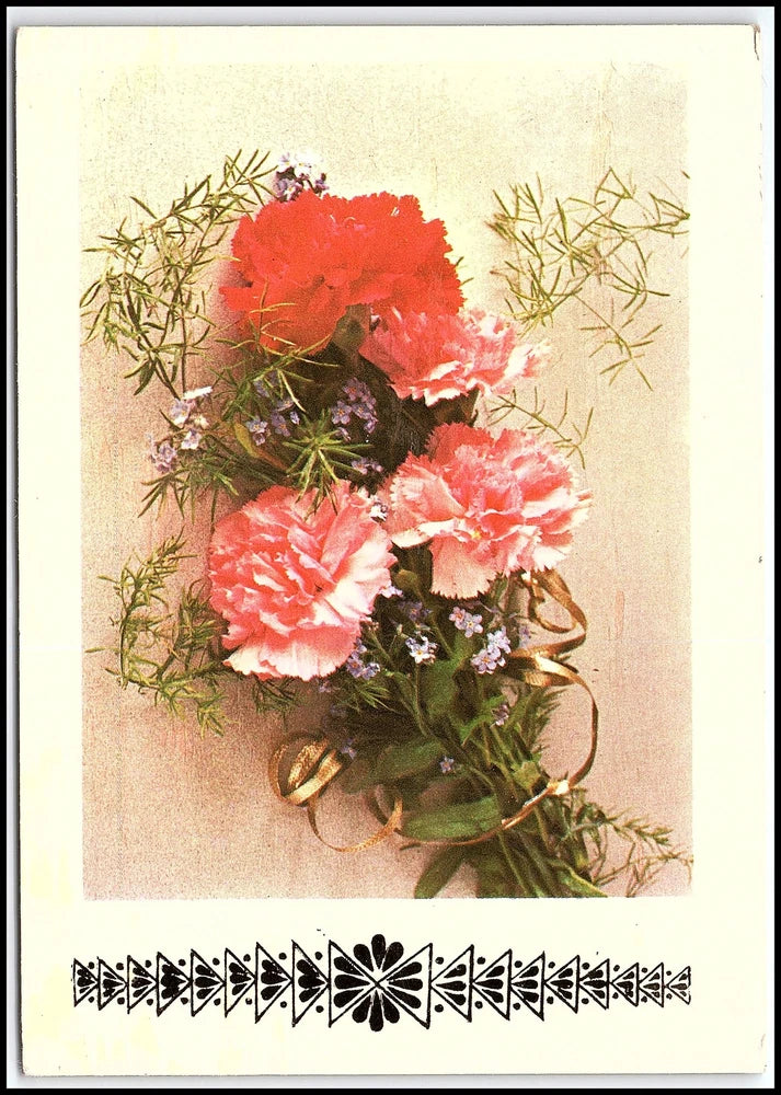 Vintage Carnations Flower Bouquet Postcard Bulgaria Polygraphic Publishing K109 Carnation