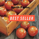 50+ Seeds Long-Keeper Tomato Hybrid Juicy Easy to Grow Vegetable Garden Planting Garden Plants