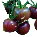 BLACK CHERRY Tomato Seeds Organically Grown Unique Creek Homestead Gardens Garden Plants