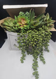 SEEKO Artificial Succulents -14 Pack -Realistic Artificial Plants -NEW - CHECK * Green Plant