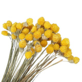 60 Pcs 16 Inch Dried Flowers for Vase Mini Pine Ball Flowers Yellow Dried Flower