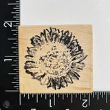 Club Scrap Distressed Flower Sunflower Blossom Wood Mounted Rubber Stamp Sunflower