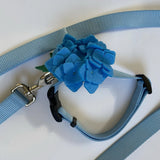 Dog Collar and Leash W/ Flower NEW Size Large Blue Hydrangea Tiff 45Ó Handmade Hydrangea