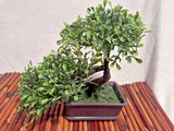 Mini Artificial Bonsai Tree Faux Plant Home Office Desk Zen Decor | Pre-Owned Green Plant