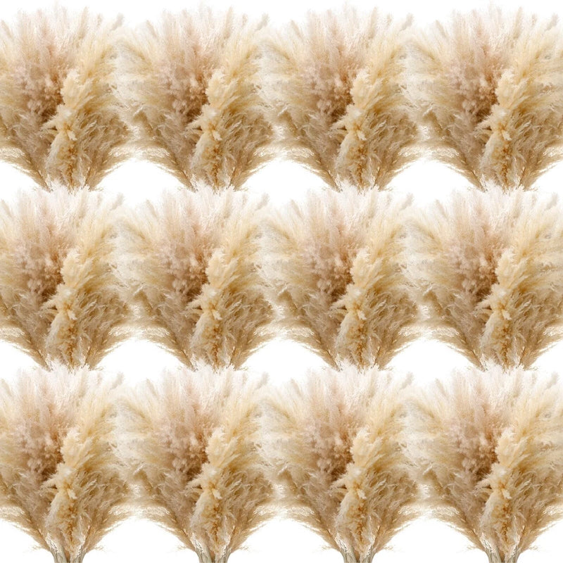 Tigeen 70 Pcs 40 Inch Tall Pampas Grass Beige Fluffy Natural Dried Pampas Gra... Pampas Grass