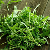 ARUGULA "ROCKET" 400 SEEDS LEAFY GREENS FRESH FOR GARDENS Garden Plants