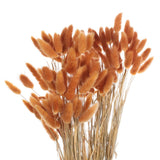 120pcs Natural Bunny Tails Dried Flowers 24" Mini Pampas Grass, Dark Orange Pampas Grass